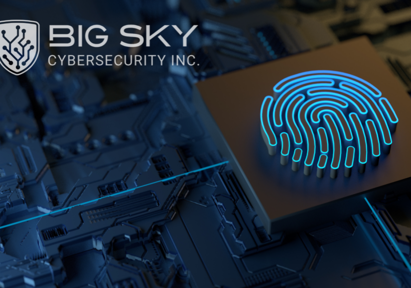 Think of vulnerability scanning as an automated security check-up.Penetration testing (pen testing) goes much deeper.